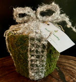 Load image into Gallery viewer, Georgia Country Moss Gift Planter

