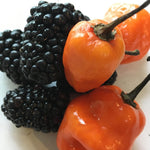 Load image into Gallery viewer, Blackberry Habanero
