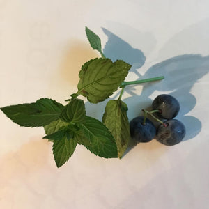 Blueberry Chocolate Mint