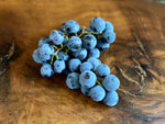 Load image into Gallery viewer, Concord Grape
