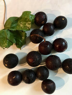 Load image into Gallery viewer, Wild Muscadine Gift Board
